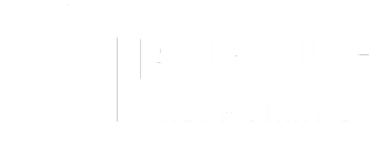 Pursue Networking 