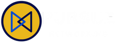 Pursue Networking 